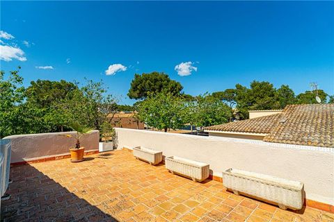 Villa en Son Servera, Mallorca, Son Servera - € 925.000 | Ref: 46711 - photo 22